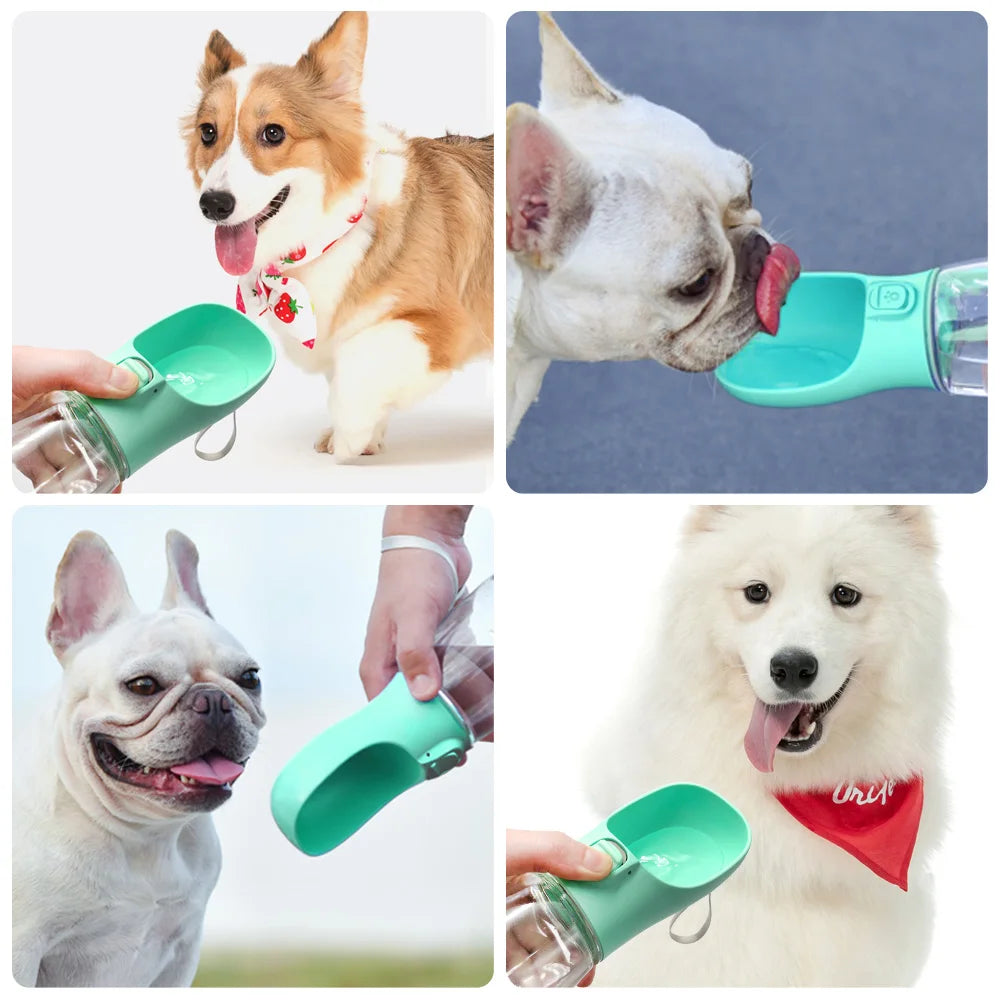Dog Water Bottle For Pet Dogs